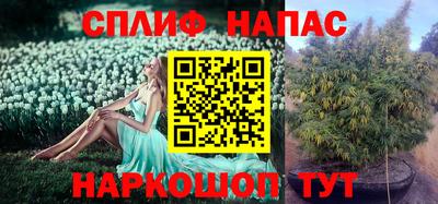 ПСИЛОЦИБИНОВЫЕ ГРИБЫ Обнинск