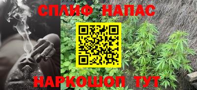 спиды Обь