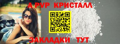 спиды Обь