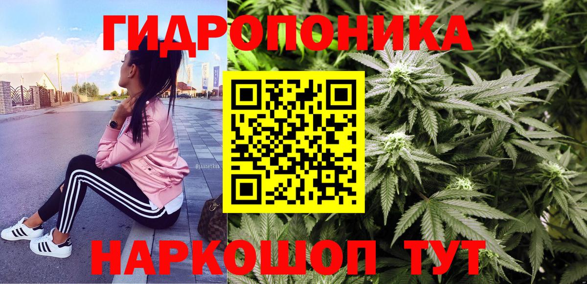 Бошки марихуана семена  Марихуана план  Тихорецк  Вход с VPN 